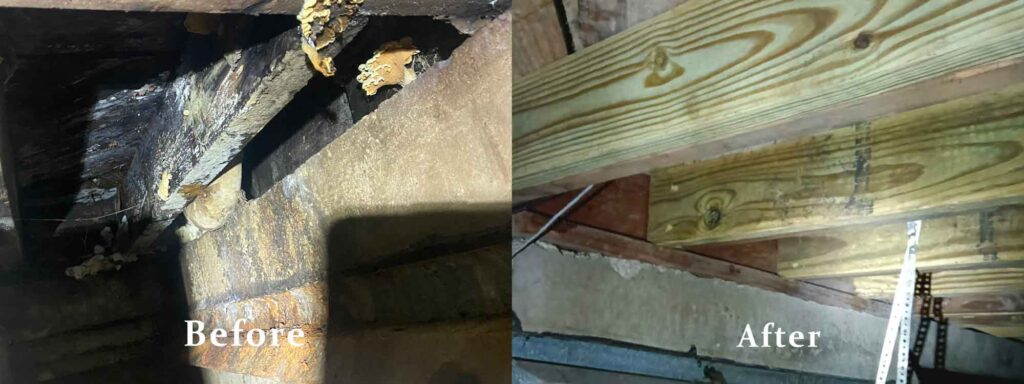 Pier and Beam Before & After- 2