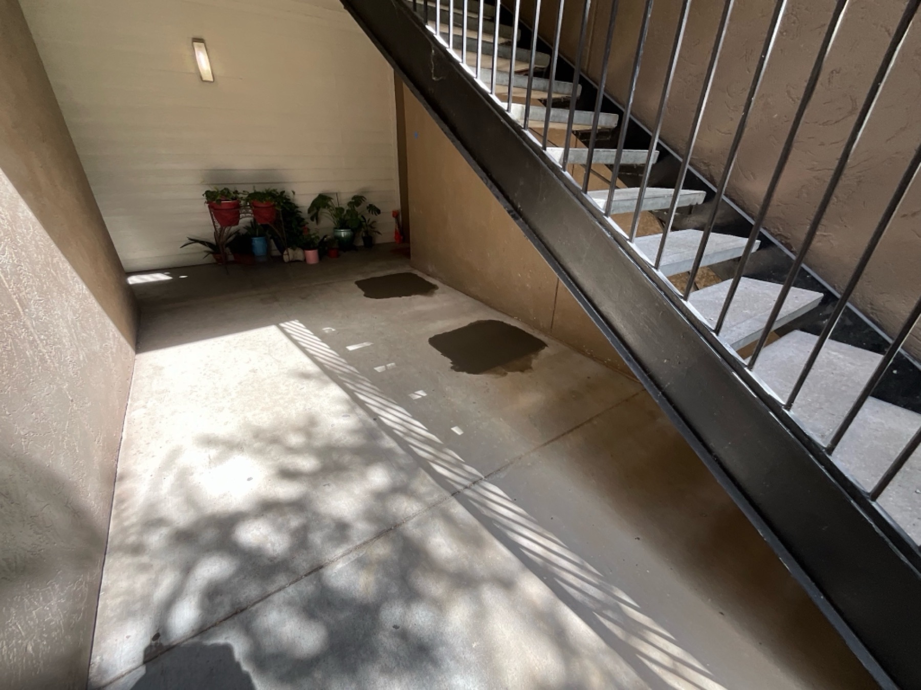 Concrete patch-backs drying in a breezeway — slab openings closed and finished