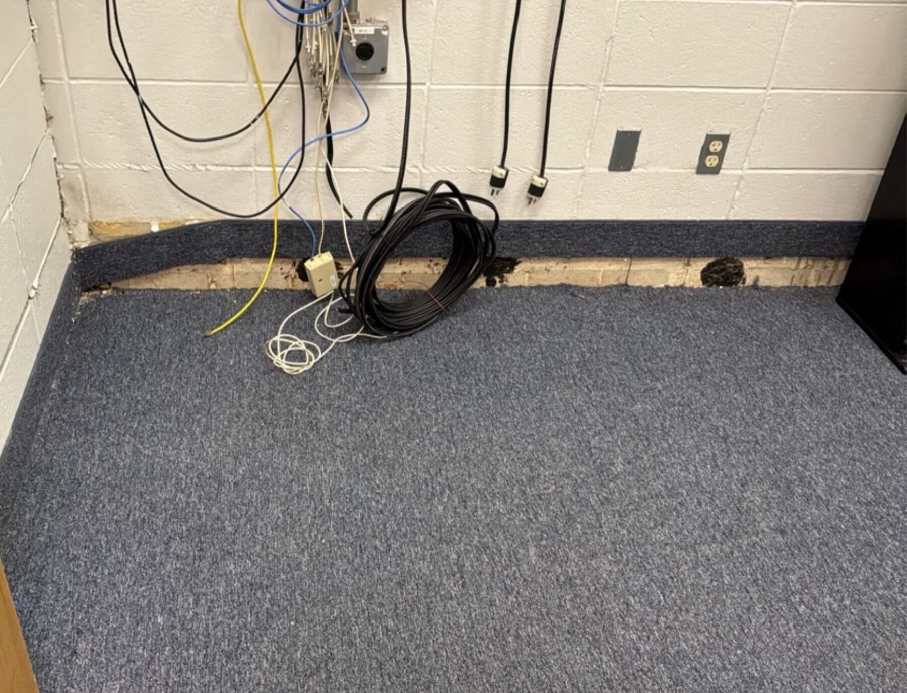 Slab dropped away from the exterior wall beneath the carpet